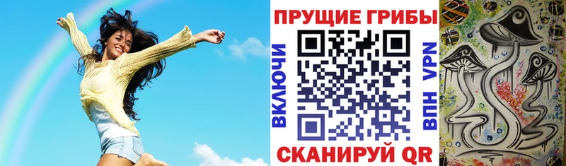 Псилоцибиновые грибы мицелий  купить наркотик  Чишмы 